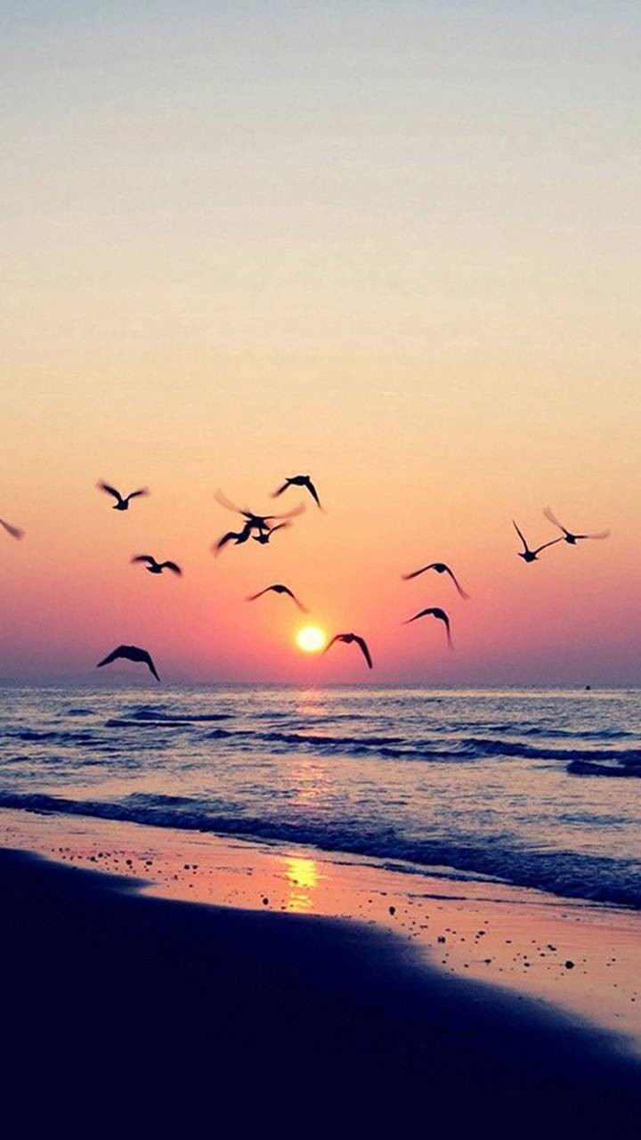 تصویر پروفایل  هدی کوهی زاده